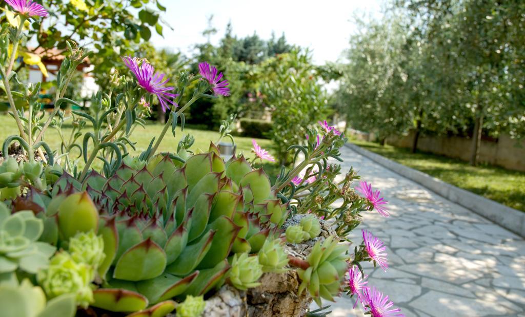 Holiday Home Magnolia Tar-Vabriga 객실 사진