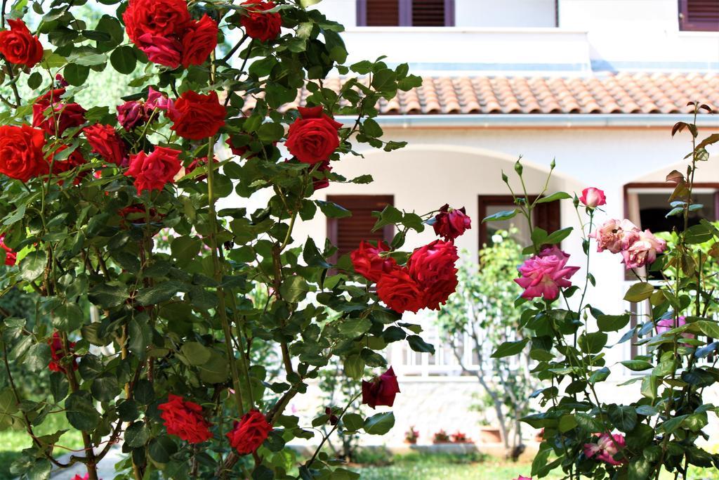 Holiday Home Magnolia Tar-Vabriga 외부 사진